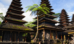Pura-Basukih