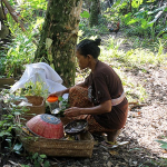 tumpekpengatag_6