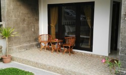 Ubud house for rent