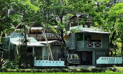 Ubud rentals