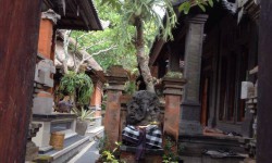Ubud apartment