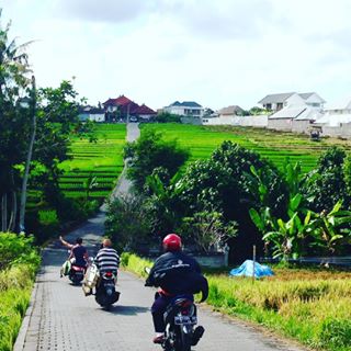 Getting around in Bali