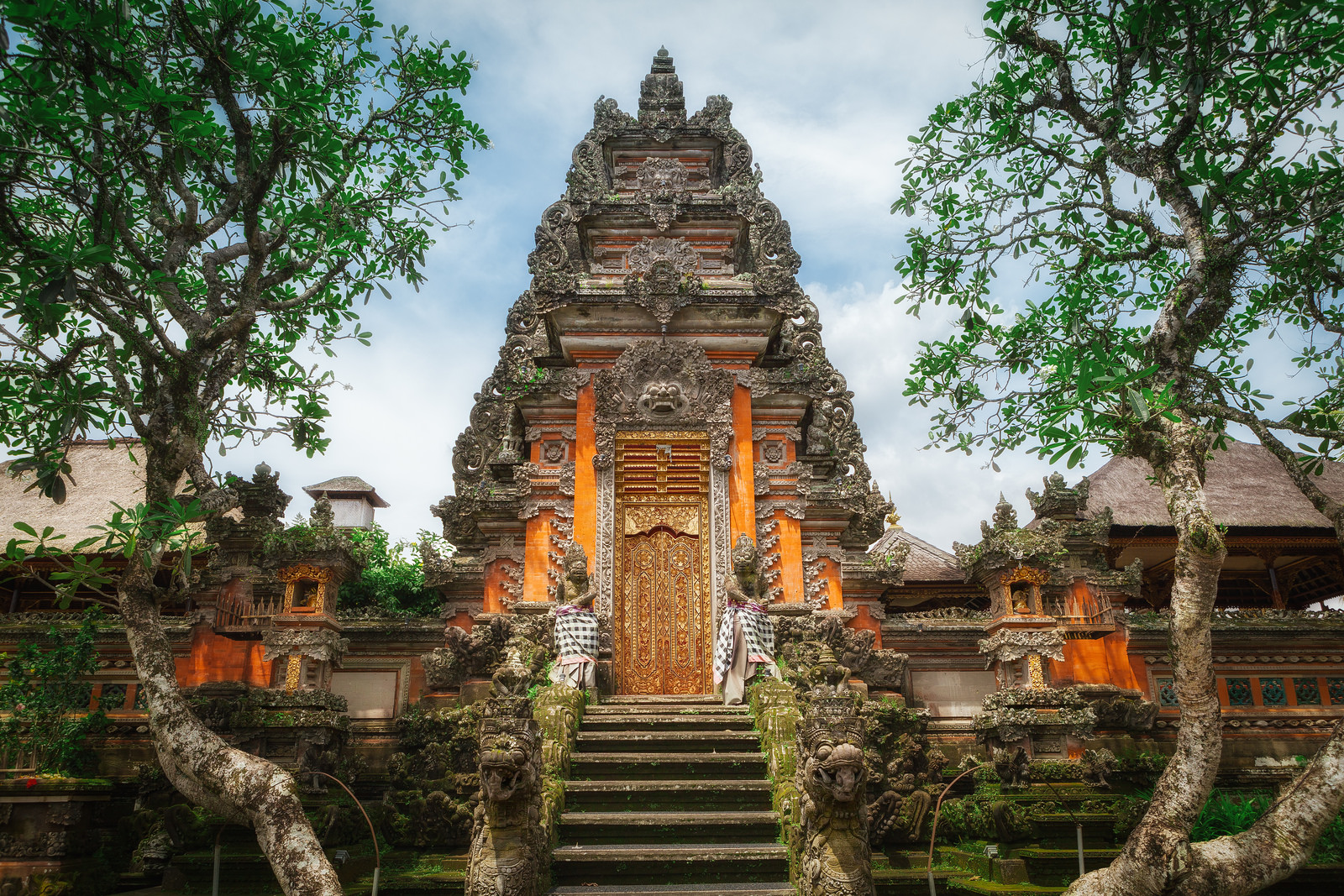 7 Things To Do in Ubud