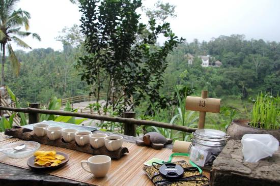 things to do in Ubud - Bali Pulina