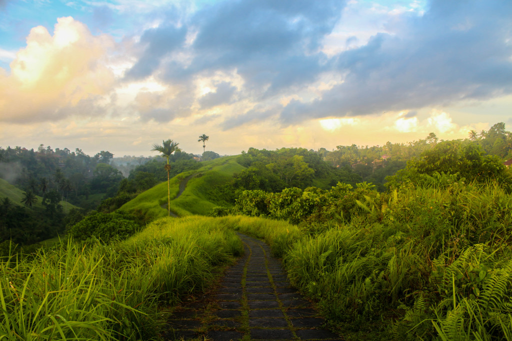 things to do in Ubud - Campuhan