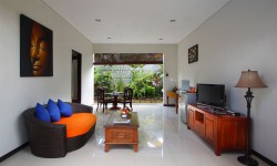 Kerobokan rentals