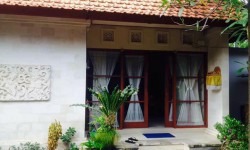 Sanur house for rent