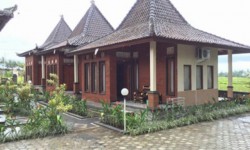 Ubud rentals
