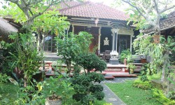 Ubud house for rent