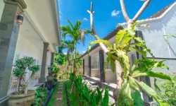 Canggu property
