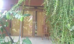 Ubud property