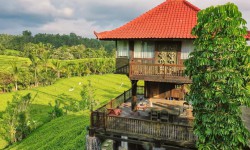 Tabanan house for rent