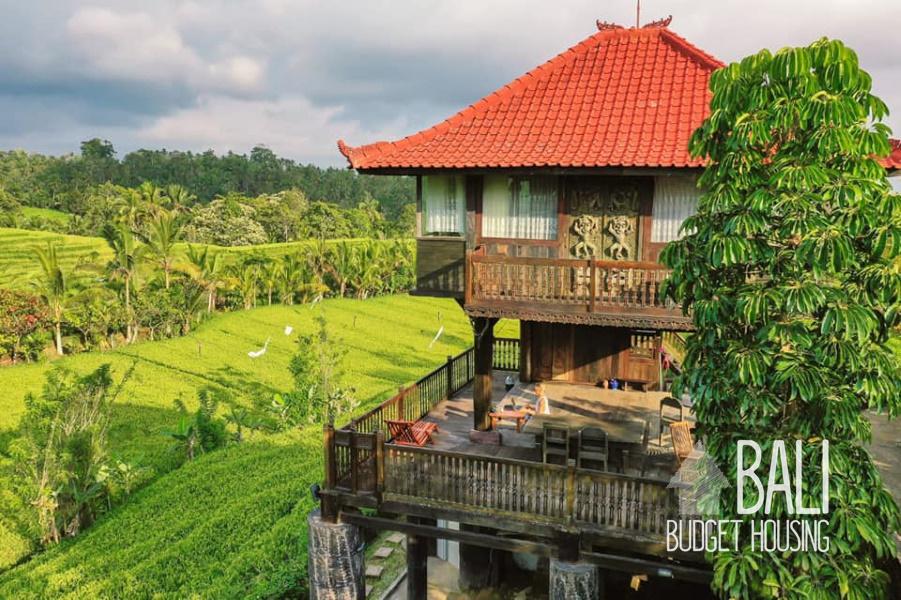 Room for Rent in A Villa at Pupuan, Tabanan Bali Long Term Rentals