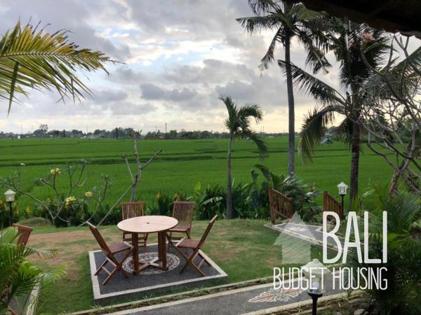 Canggu house for rent