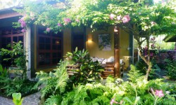 Singaraja property